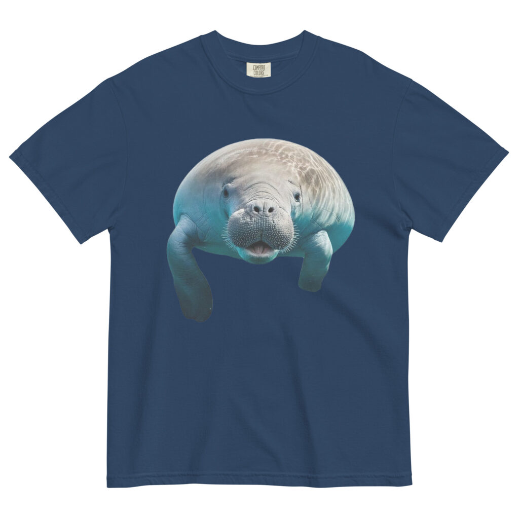 Unisex Heavyweight