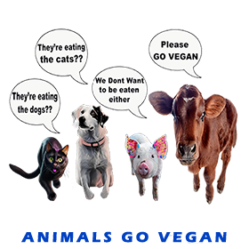 Animals Group Go Vegan FOR GALLERY 2