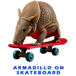 Armadillo Skateboard FOR GALLERY