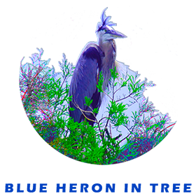 Blue Heron In Tree FOR GALLERY