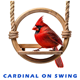 Cardinal On Swing FOR GALLERY 6
