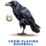 Crow baseball FOR GALLERY