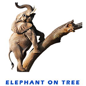 Elephant On Tree FOR GALLERY