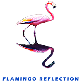 Flamingo alone with reflection FOR GALLERY 1