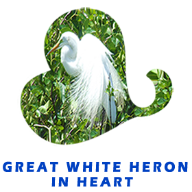 Great White Heron Heart FOR GALLERY
