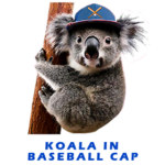 Koala With Baseball Cap FOR GALLERY 2