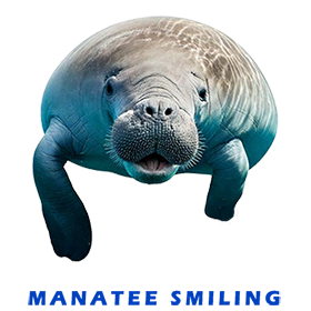 Manatee Smiling FOR GALLERY