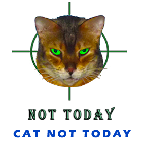 Not Today FOR GALLERY