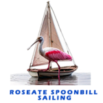 Roseate Spoonbill Sailboat FOR GALLERY 2