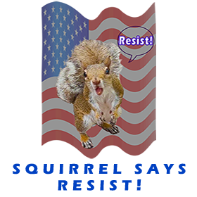 Squirrel Says Resist FOR GALLERY 1