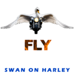 Swan On Harley FOR GALLERY 2