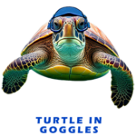Turtle In Goggles FOR GALLERY 1