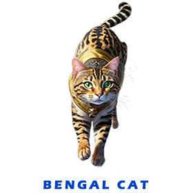 Zabako stand alone FOR GALLERY 1