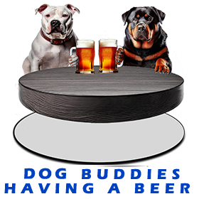 Dog Buddies Having A Beer FOR GALLERY